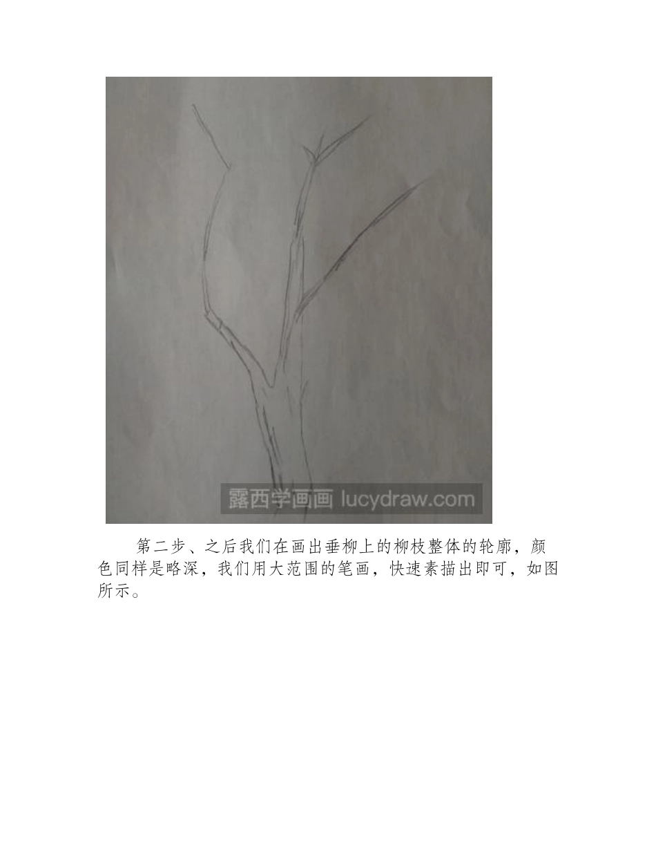 素描教程：教你画柳树素描教程_第2页