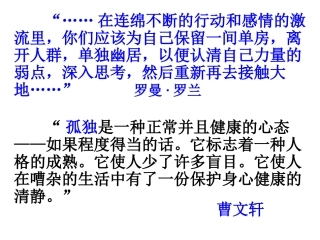 《孤独之旅》课件（46页）