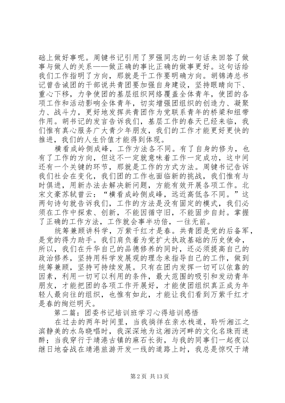 乡镇团委书记学习心得_第2页
