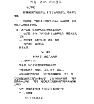 认识、种植蔬菜地校本课程与教案