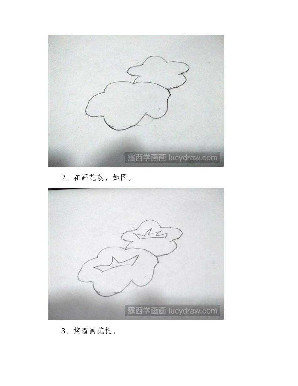 牵牛花的简笔画法简笔画教程_第2页