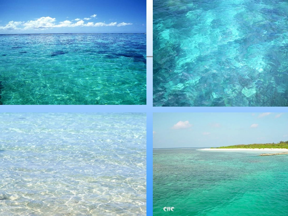 《富饶的西沙群岛》课件 (2)_第2页