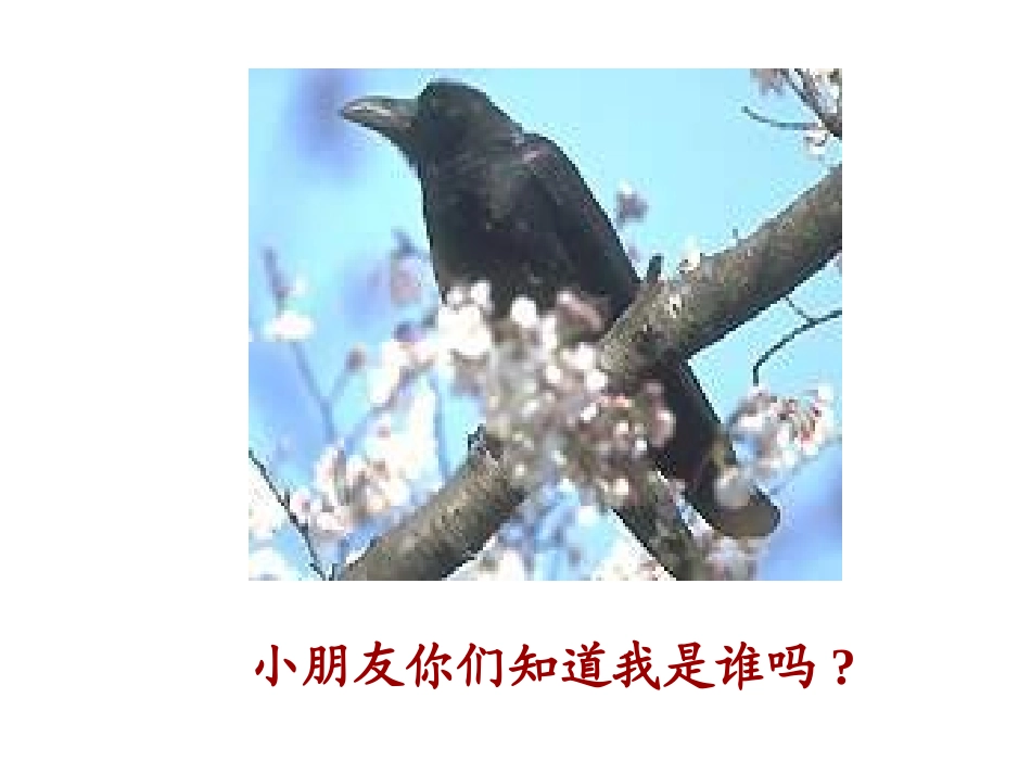 一年级语文下册_《乌鸦喝水》PPT课件_(4)_第1页