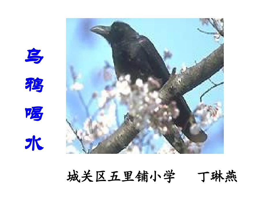 一年级语文下册_《乌鸦喝水》PPT课件_(4)_第2页