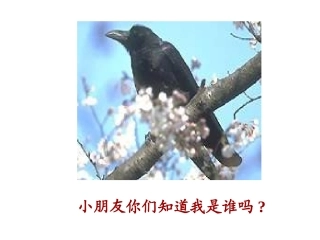 一年级语文下册_《乌鸦喝水》PPT课件_(4)