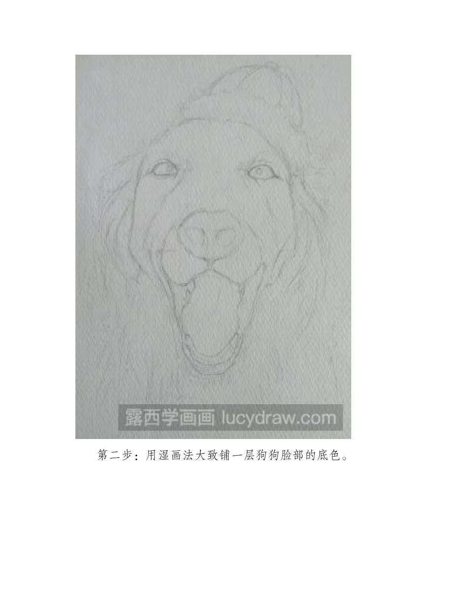 水彩画金毛步骤教程水彩画教程1_第2页