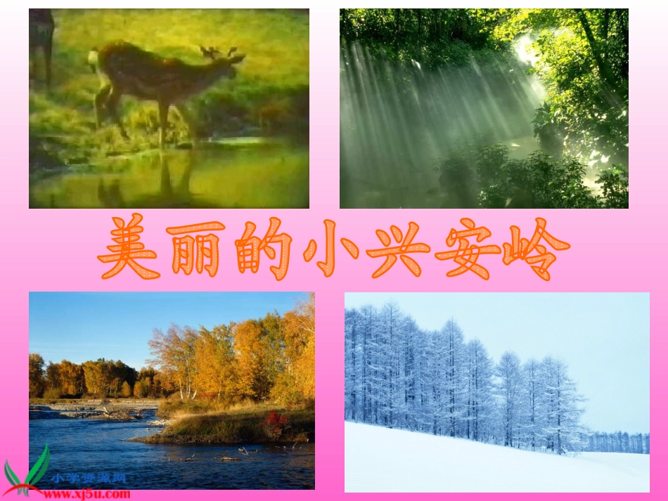 三年级语文《美丽的小兴安岭3》PPT课件_第1页