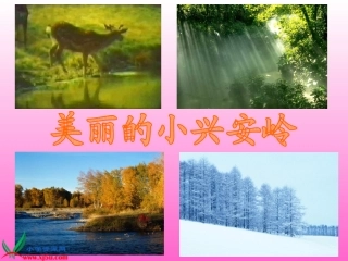 三年级语文《美丽的小兴安岭3》PPT课件