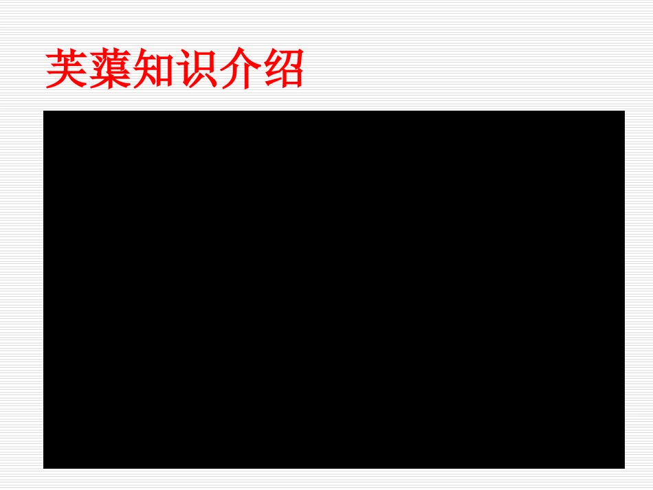 芙蕖自制课件3_第2页