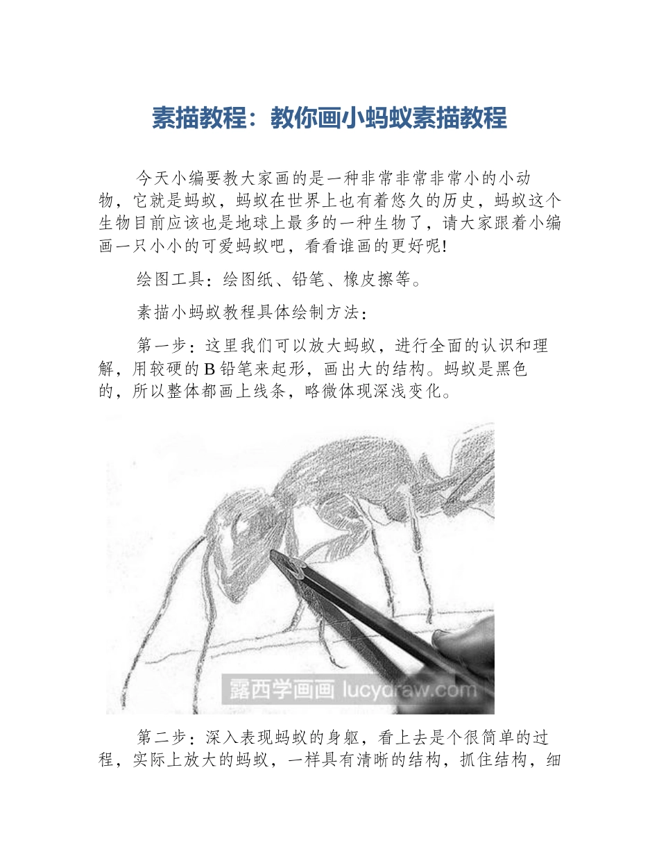 素描教程：教你画小蚂蚁素描教程_第1页