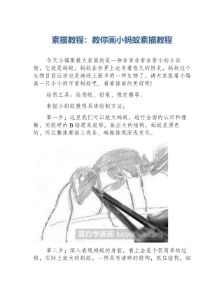 素描教程：教你画小蚂蚁素描教程