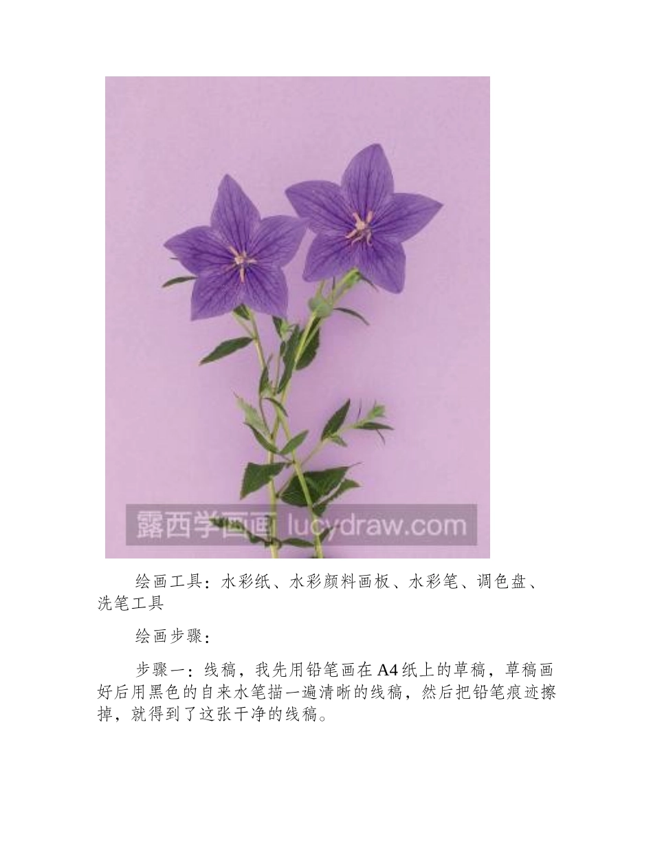 水彩画桔梗花步骤教程水彩画教程_第2页