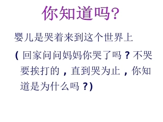 呼吸道对空气的处理课件人教版七年级下