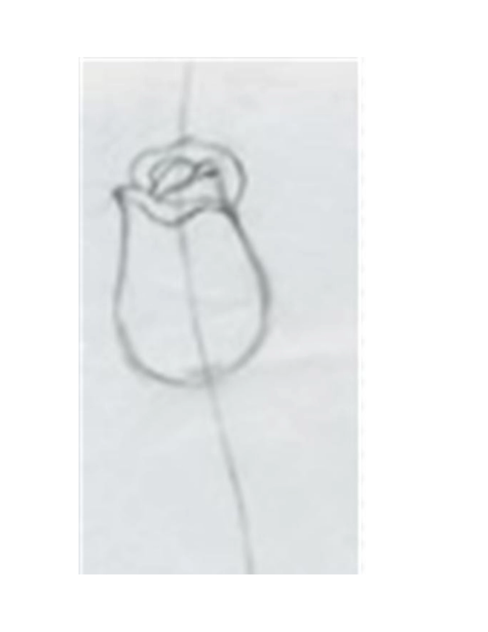 素描玫瑰花怎么画素描教程1_第2页
