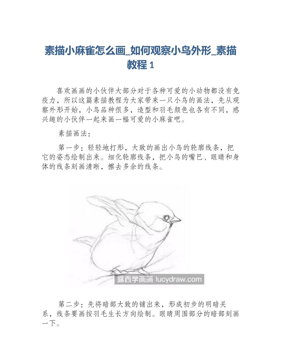素描小麻雀怎么画_如何观察小鸟外形_素描教程1_第1页