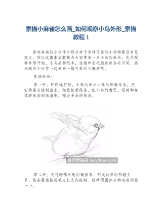 素描小麻雀怎么画_如何观察小鸟外形_素描教程1