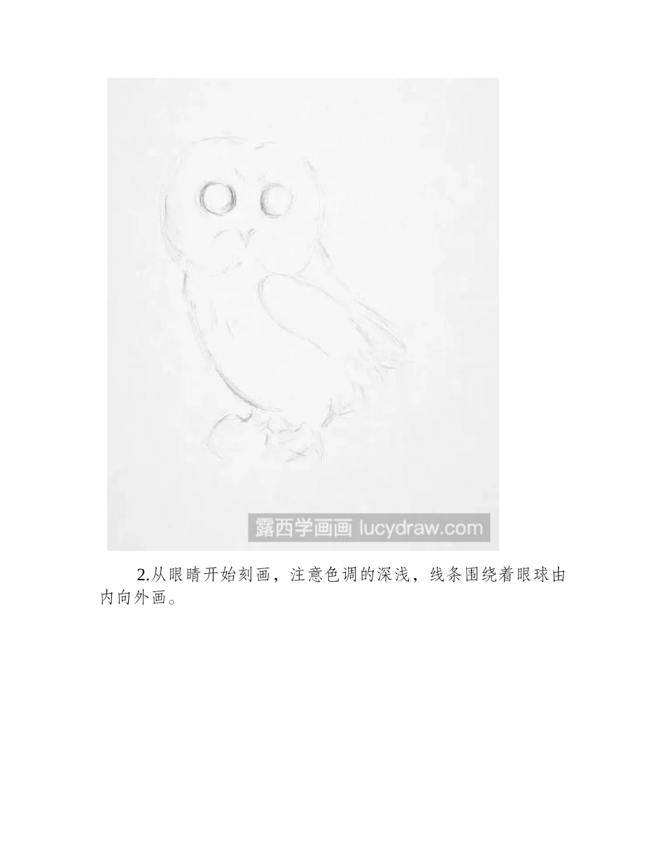 素描画萌萌的猫头鹰素描教程1_第2页
