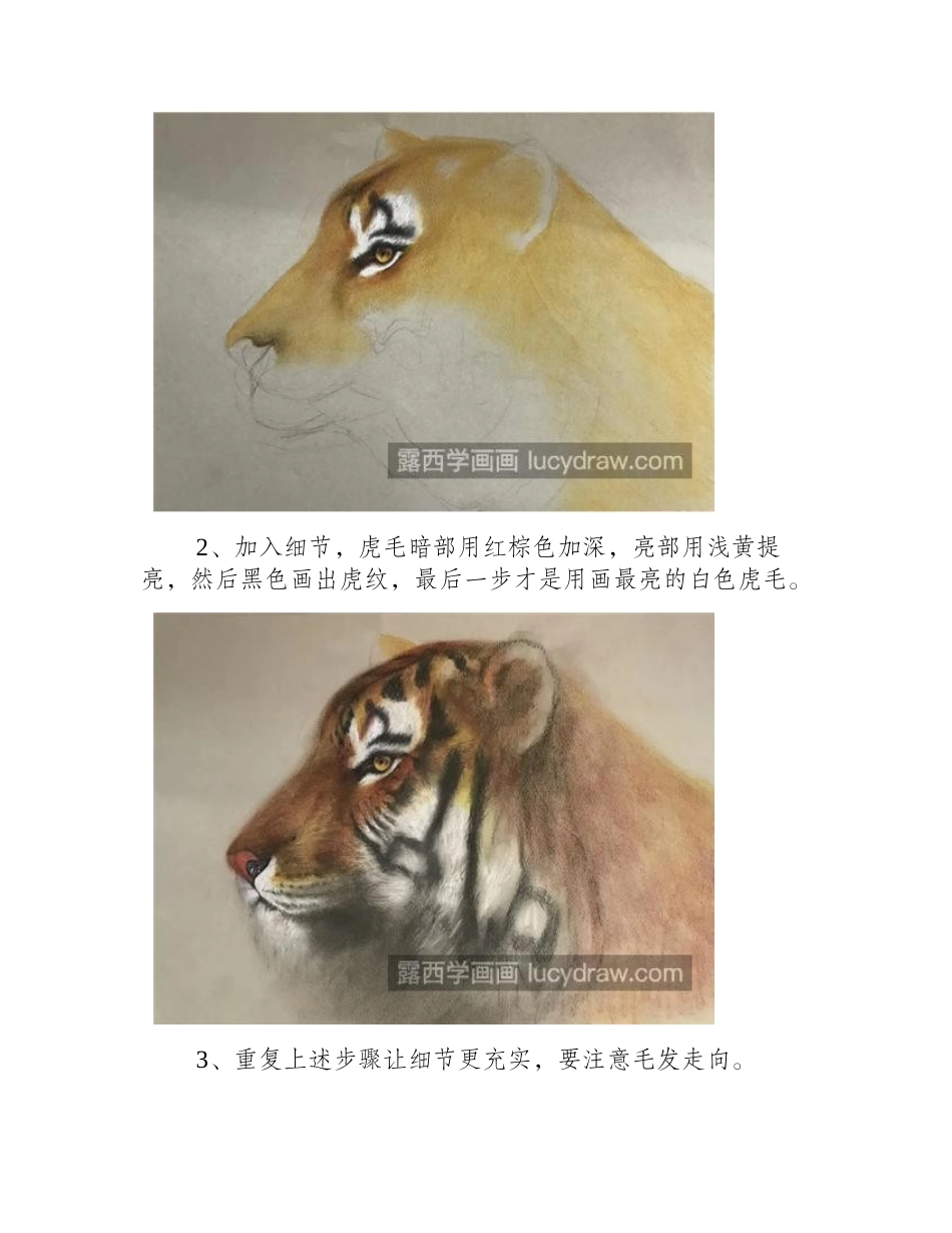 威武的老虎怎么画_具体的色粉绘画步骤分几步_色粉画教程_第2页
