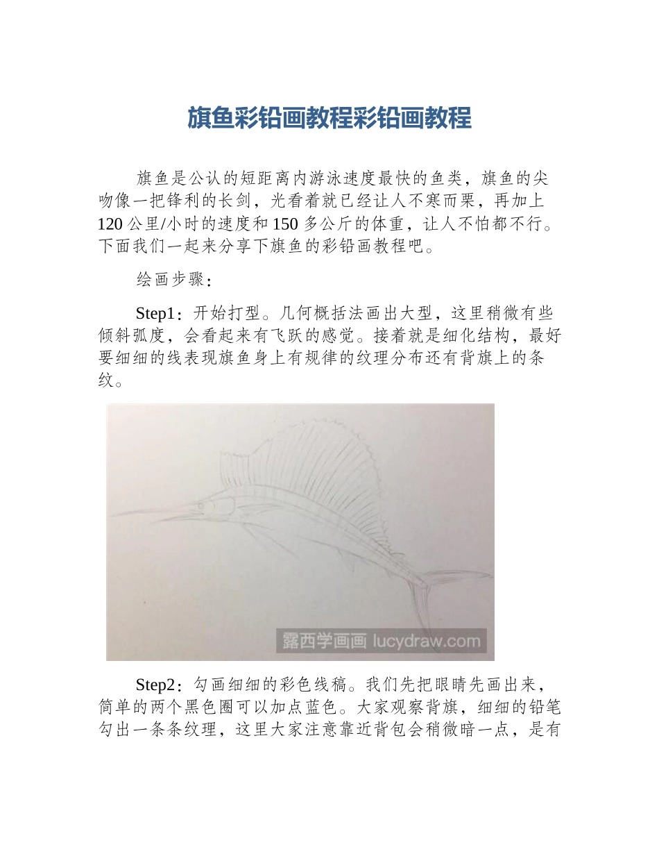旗鱼彩铅画教程彩铅画教程_第1页