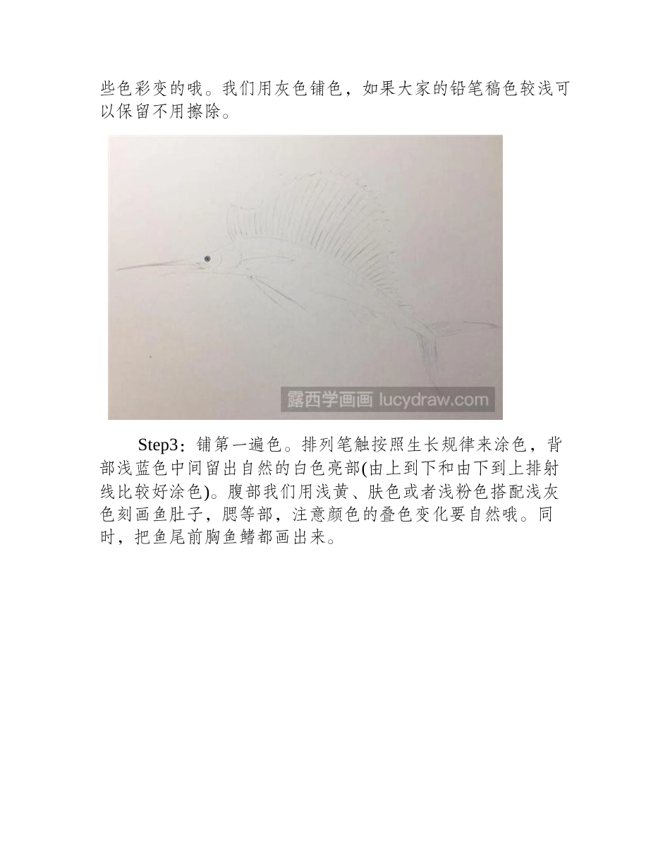 旗鱼彩铅画教程彩铅画教程_第2页