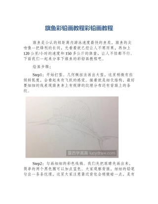 旗鱼彩铅画教程彩铅画教程