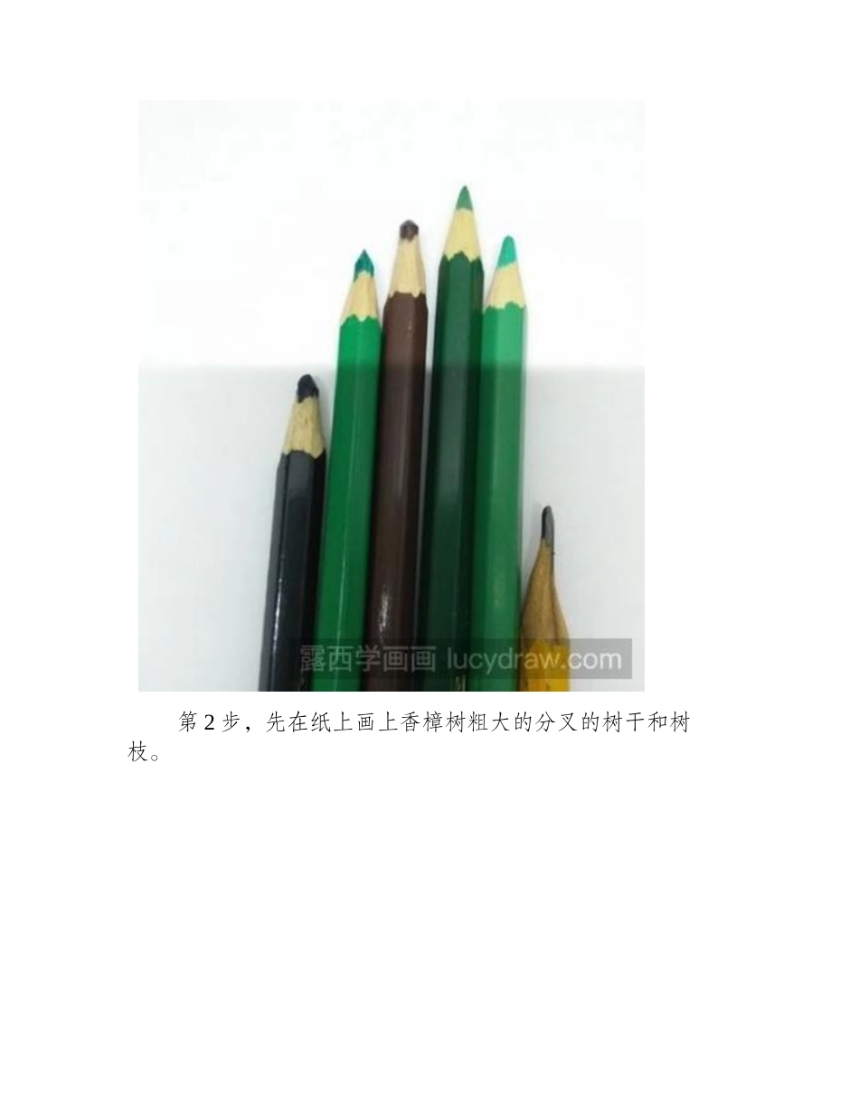 香樟树儿童画教程儿童画教程_第2页