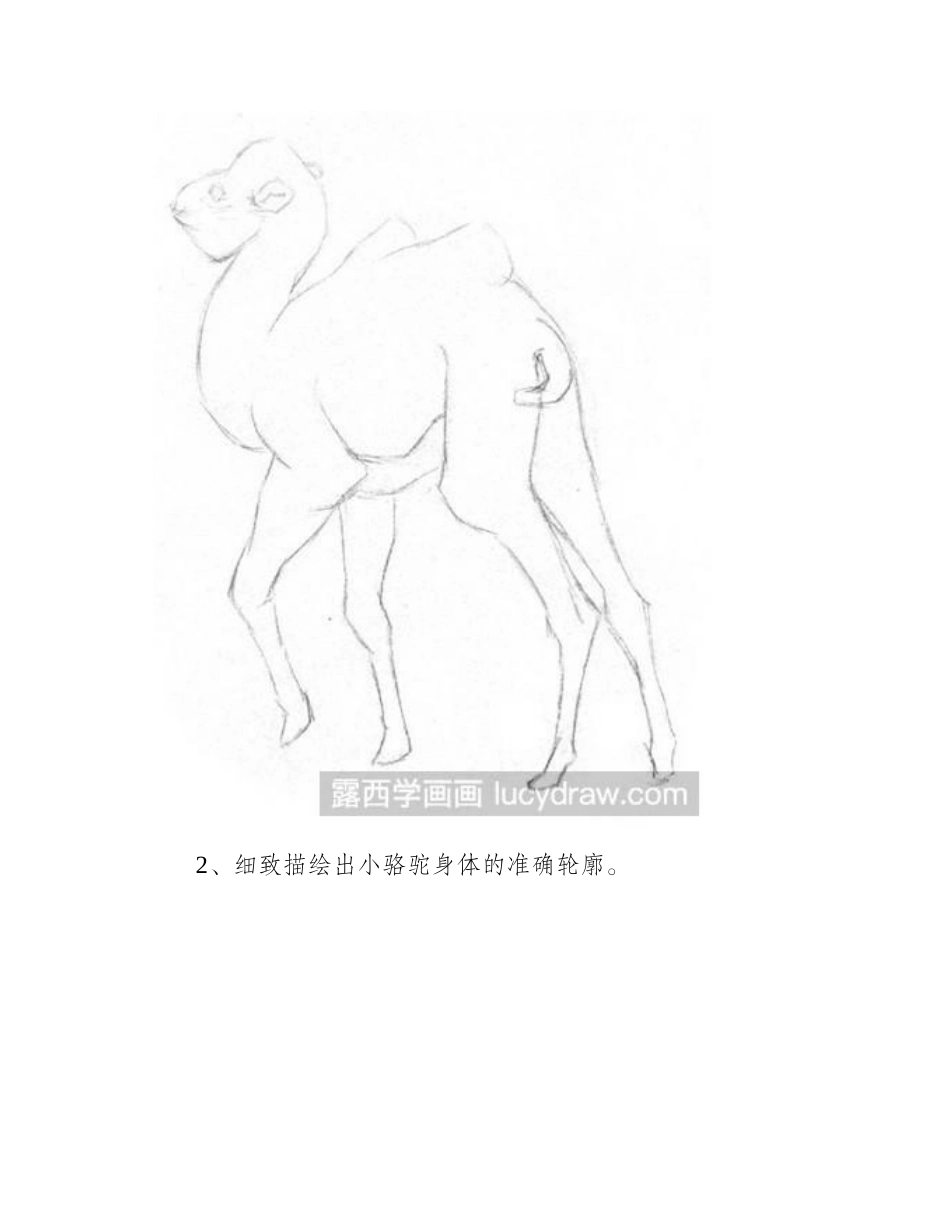素描教程：双峰骆驼素描教程_第2页