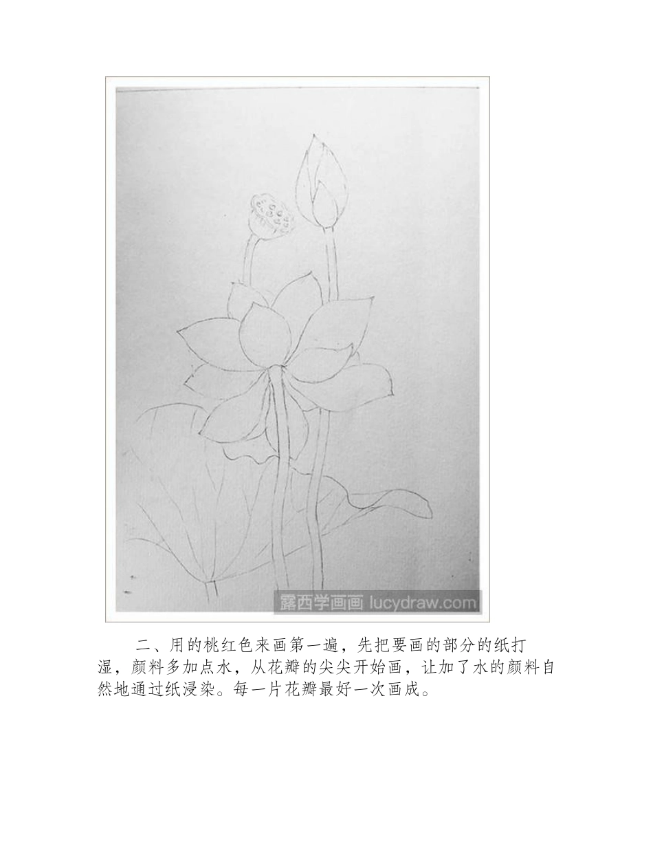 水彩画荷花的画法水彩画教程_第2页