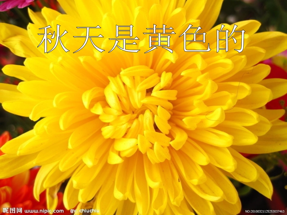 幼儿园秋天的颜色课件PPT (2)_第3页