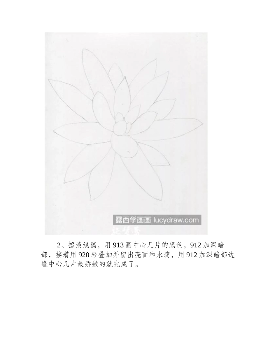 千佛手怎么画_多肉的质感如何表达_彩铅画教程_第2页