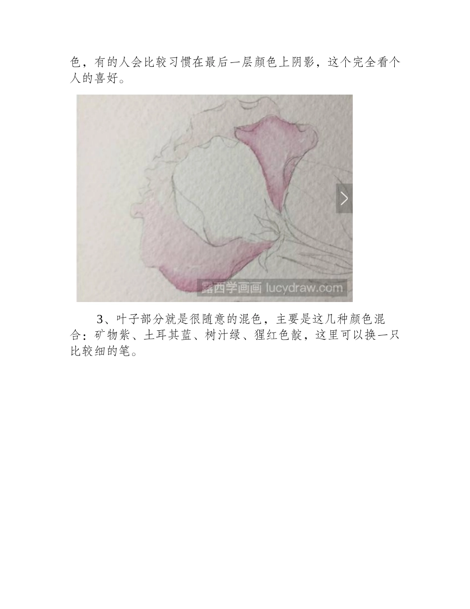水彩画教程：教你画桔梗花水彩画教程_第2页