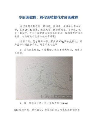 水彩画教程：教你画桔梗花水彩画教程
