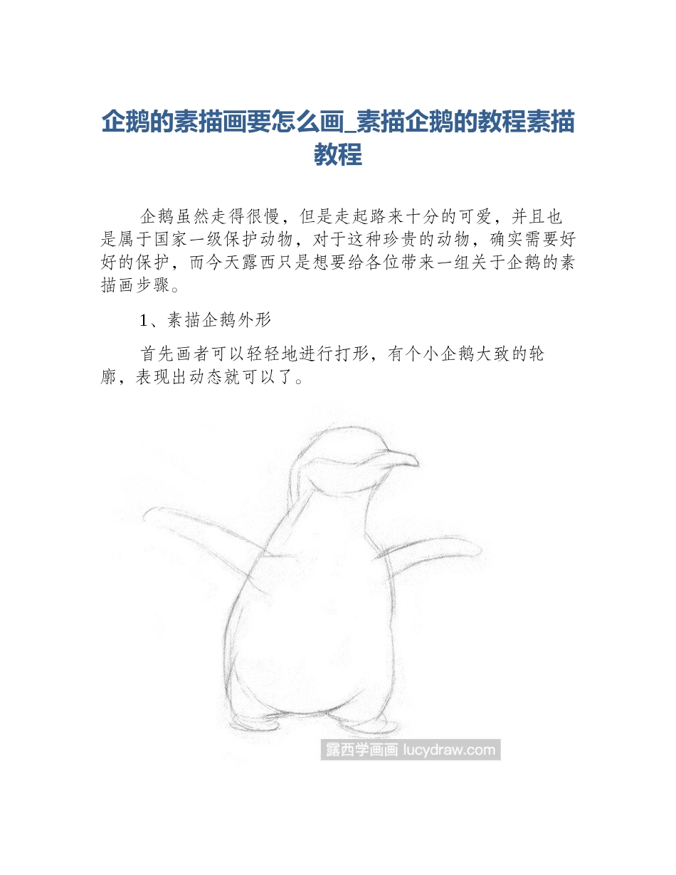 企鹅的素描画要怎么画_素描企鹅的教程素描教程_第1页
