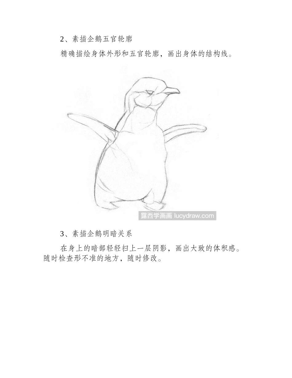 企鹅的素描画要怎么画_素描企鹅的教程素描教程_第2页