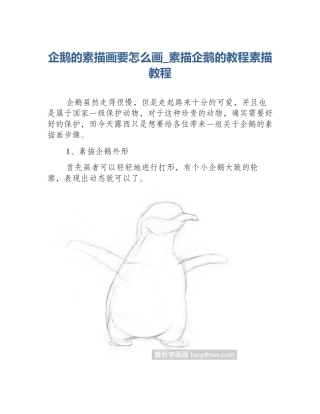 企鹅的素描画要怎么画_素描企鹅的教程素描教程