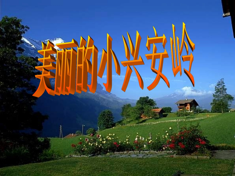 美丽的小兴安岭PPT_第1页