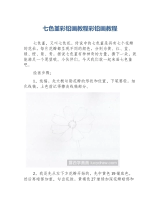 七色堇彩铅画教程彩铅画教程