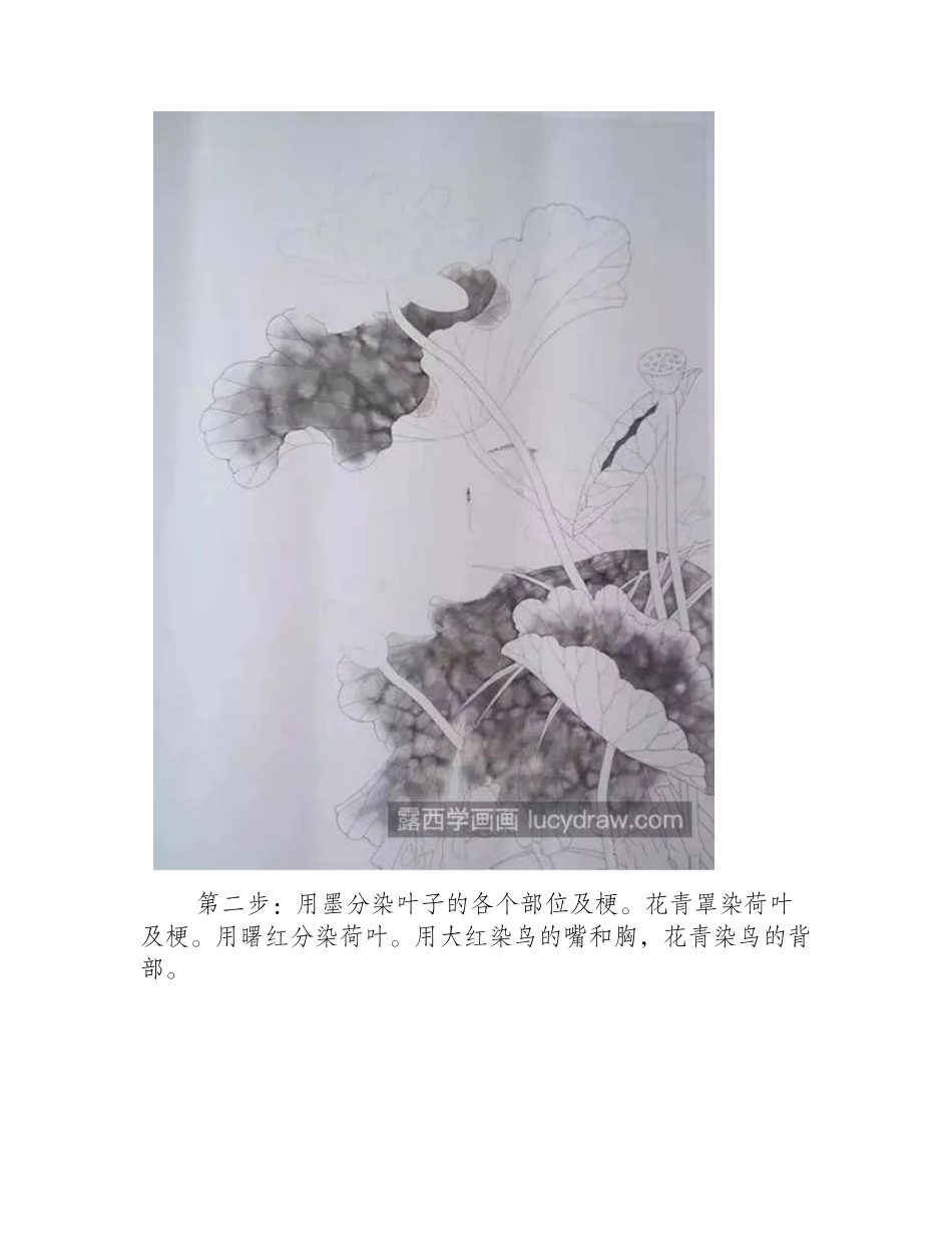 水墨荷花怎么画_荷花工笔画步骤有几步_工笔画教程_第2页