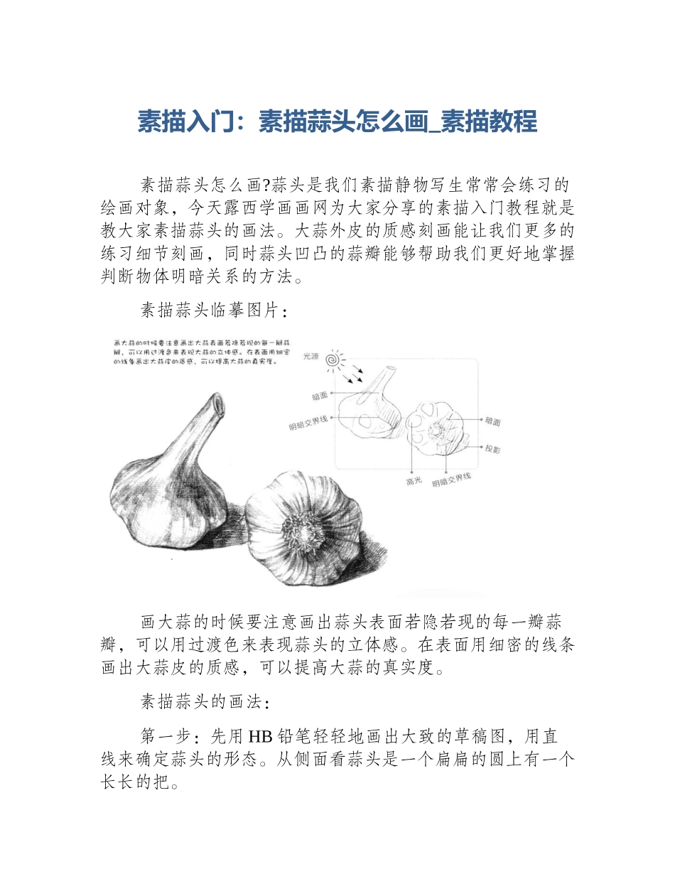 素描入门：素描蒜头怎么画_素描教程_第1页