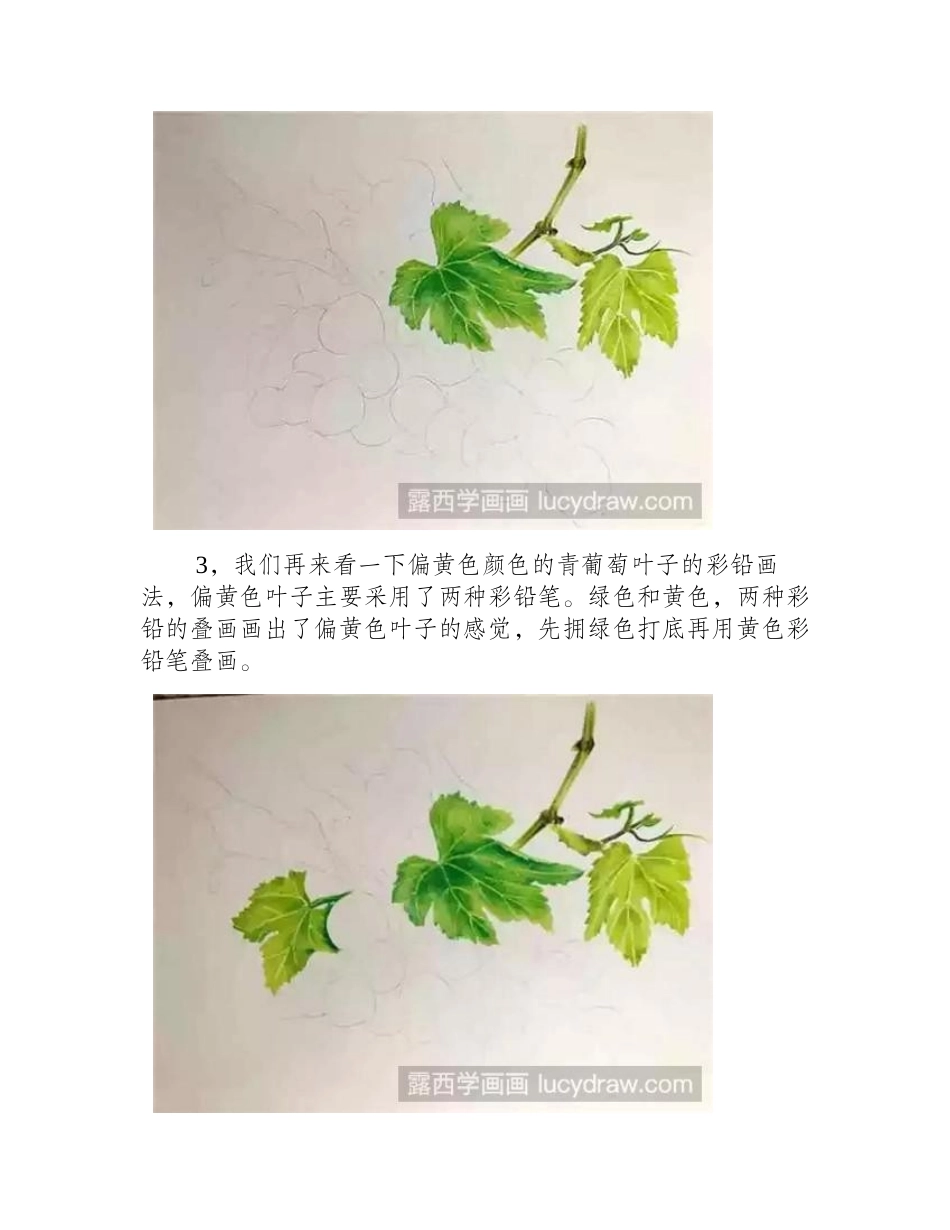 葡萄怎么画彩铅画教程_第2页