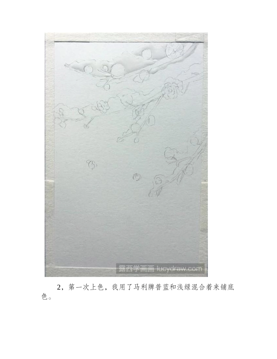 水彩画教程：雪花红梅水彩画教程_第2页