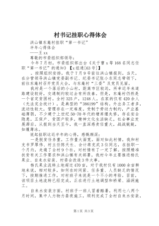 村书记挂职心得体会