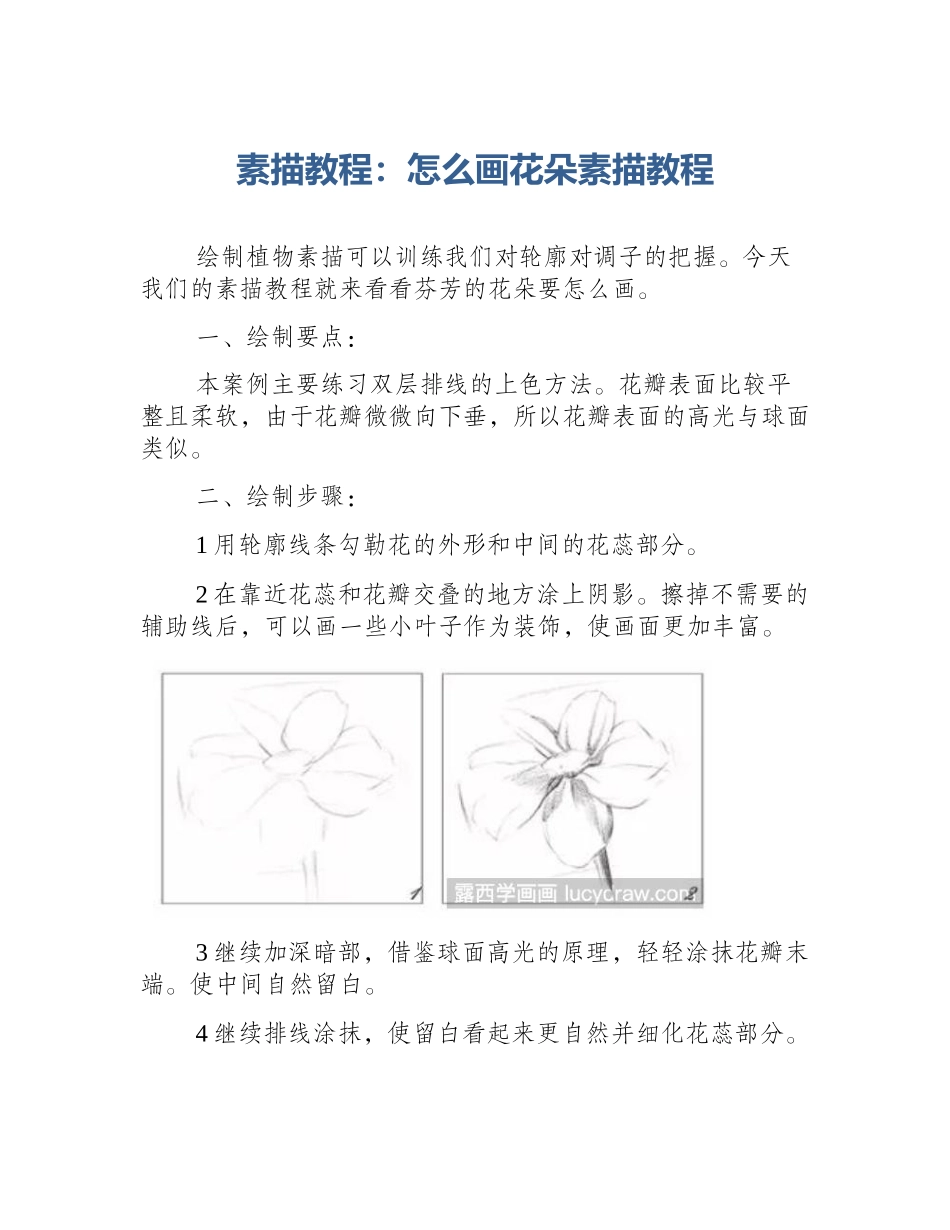素描教程：怎么画花朵素描教程_第1页