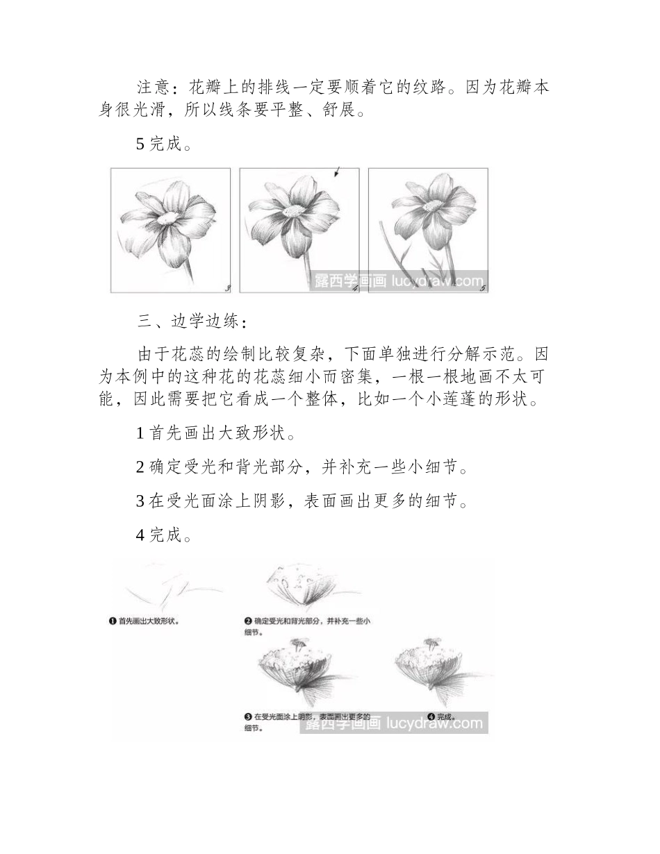 素描教程：怎么画花朵素描教程_第2页