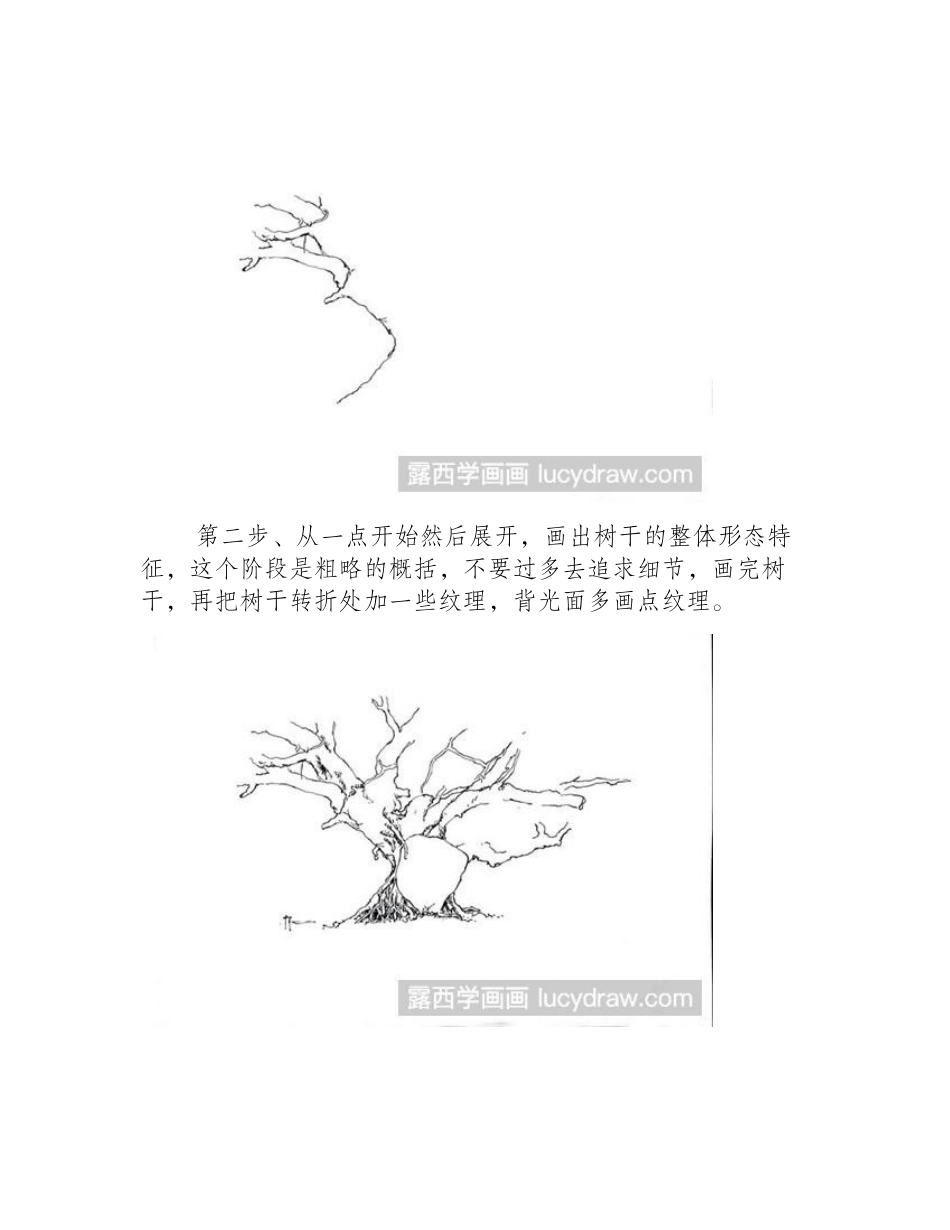 榕树画法钢笔画教程_第2页