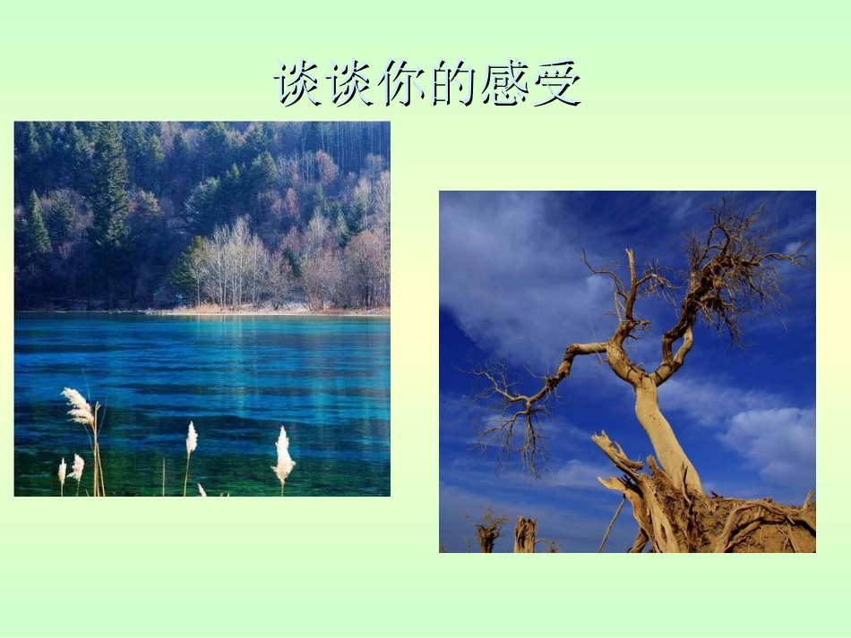 （修改）长江两岸是家乡_第2页