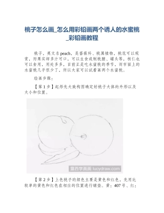 桃子怎么画_怎么用彩铅画两个诱人的水蜜桃_彩铅画教程