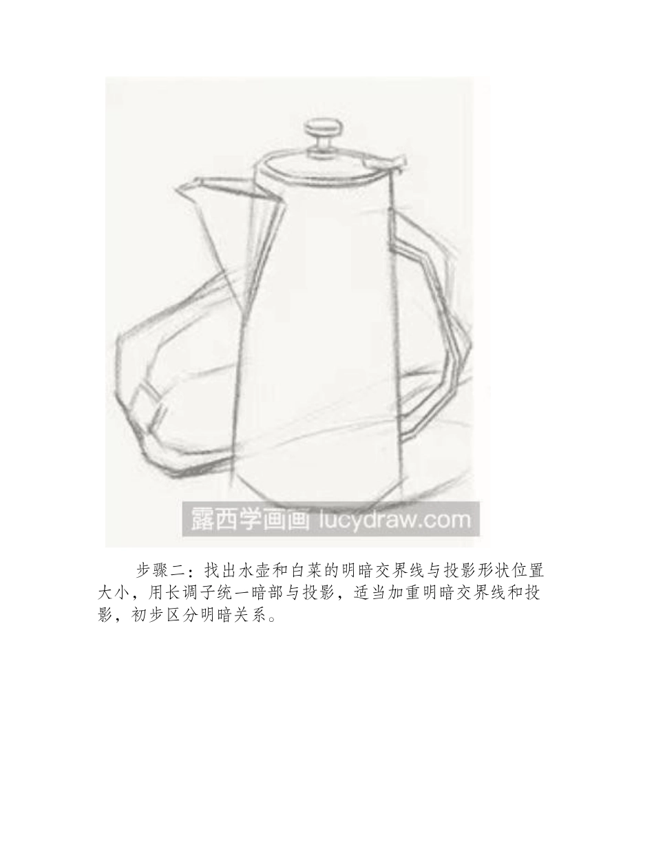 水壶和白菜的组合静物素描教程_第2页