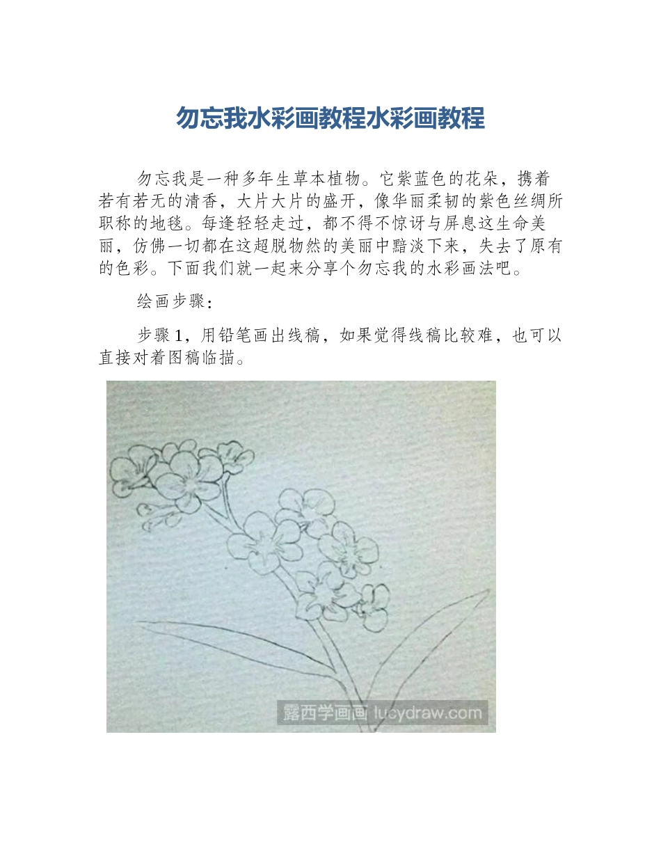 勿忘我水彩画教程水彩画教程_第1页