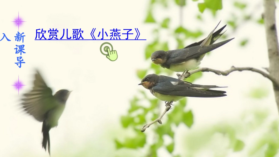 燕子课件语文人教部编版三年级下_第1页